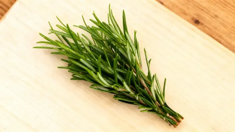 Rametto fresco di rosmarino su un tagliere di legno chiaro