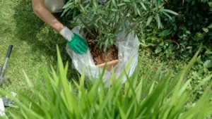 Persona in giardino sistema un vaso di terracotta avvolto in plastica protettiva