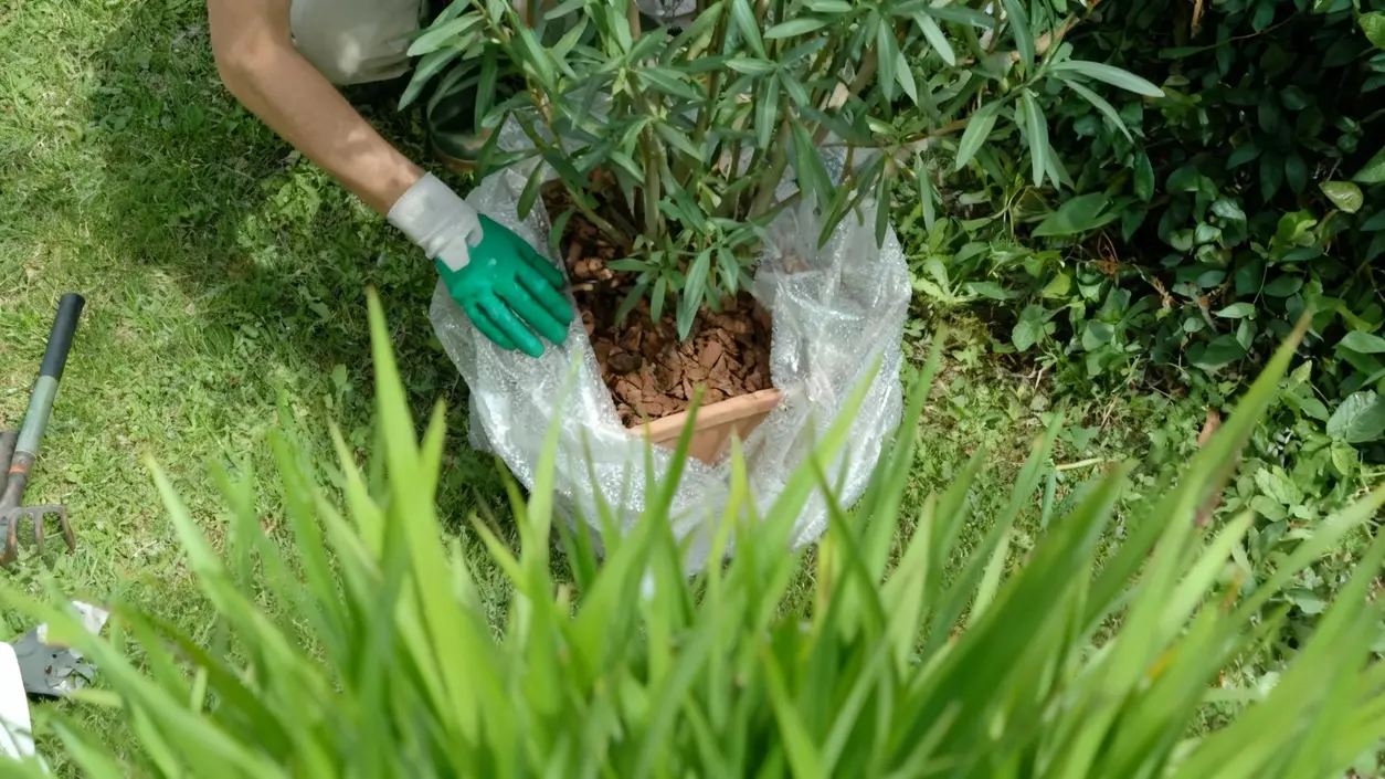 Persona in giardino sistema un vaso di terracotta avvolto in plastica protettiva